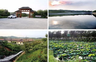 辽宁省庄河市地工产品企业名录 水产食品加工类