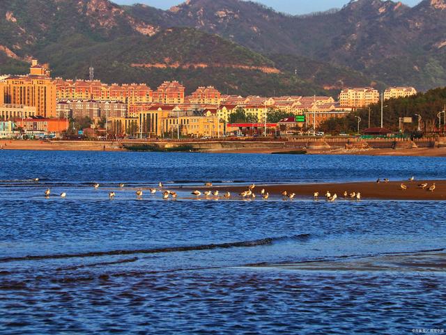 探访大连庄河,感受海岸城市的魅力!