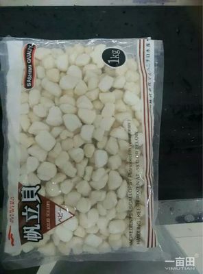 海湾扇贝辽宁大连庄河市_批发_供应-一亩田农业网_专业的农产品信息商务平台