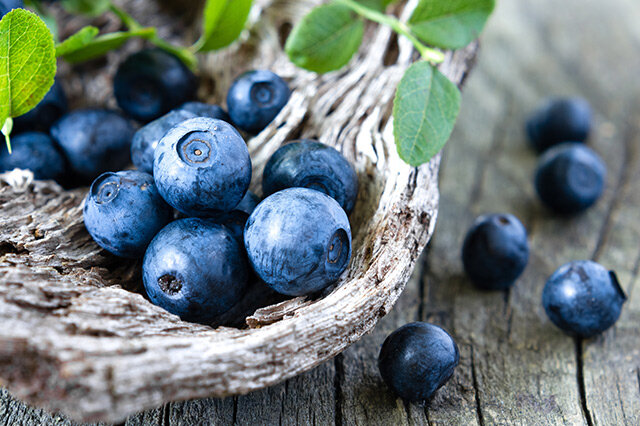 【庄河蓝莓】庄河蓝莓简介_庄河蓝莓怎么样→MAIGOO百科