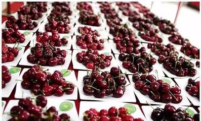 “大连大樱桃”“大连苹果”“庄河蓝莓”…越来越有含金量啦!