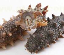 庄河海鲜礼盒批发优质商家置顶推荐产品