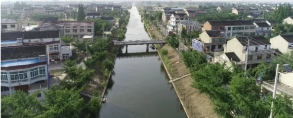 泰兴市珊瑚镇: “三腕”治水见成效 刚柔并济促长效