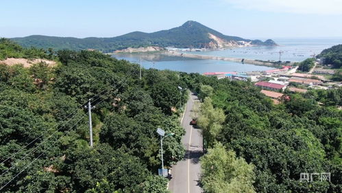 海岛上的 振兴 路 串起产业串起美 央广网