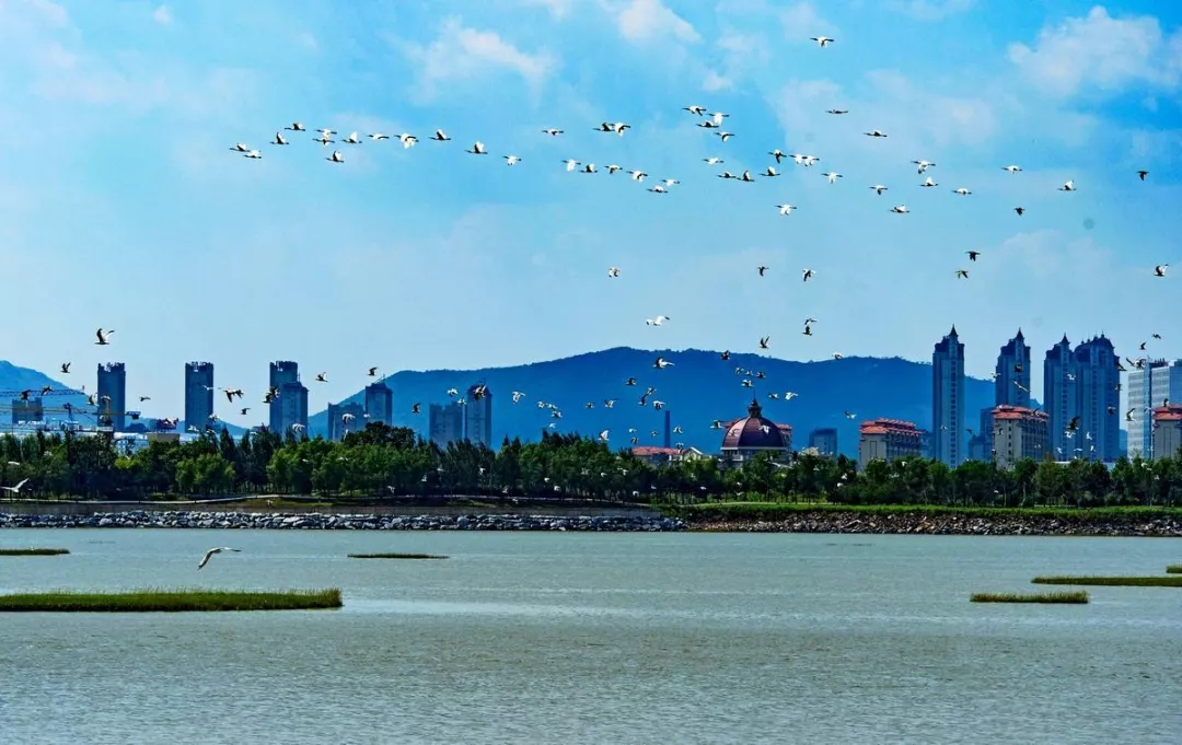 回首2018 "五大关键词"透视庄河市累累硕果