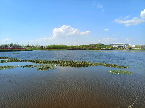 庄河市东方湖初夏美景