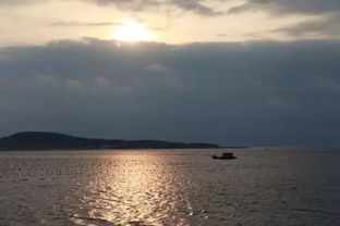 再见亦是重逢 告别与归途