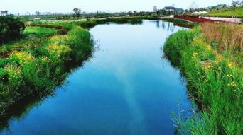 我们村里的均庄河