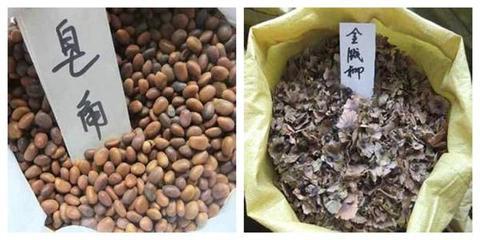 庄河市鲁梅克斯种子市场行情 价格、厂家及选购指南