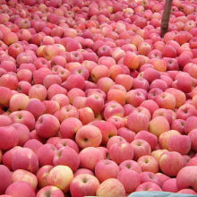 大连庄河市产品与服务大全 一座滨海城市的产业风采