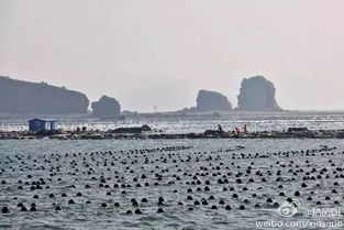 庄河，一座滨城小镇的“出圈”之路