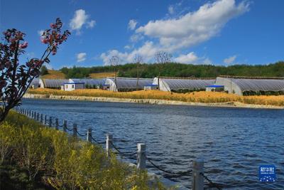 走进县城看发展丨辽宁庄河:生态优先闯出振兴发展新路