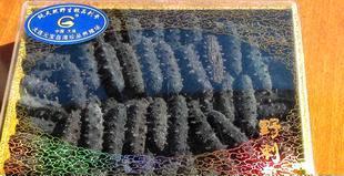 批发供应纯天然野生辽刺参