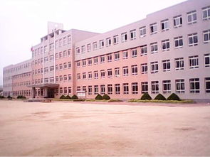 庄河市主要高中介绍