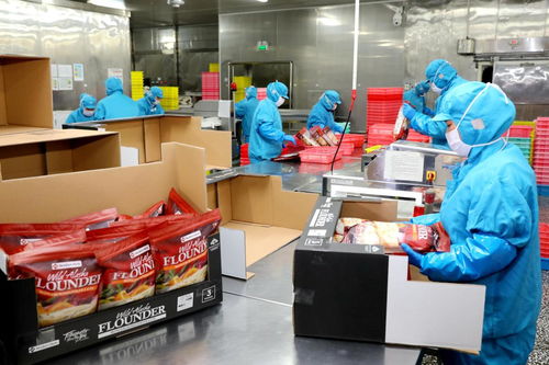 大连海关推出支持水产加工行业发展十项措施 助力庄河产业升级