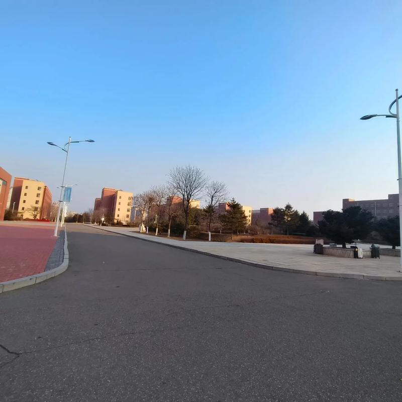 故地故人 在庄河市高级中学的时光里，寻觅与重逢