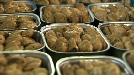 从自闭到产业领路人 庄河女子的牡蛎翻身仗